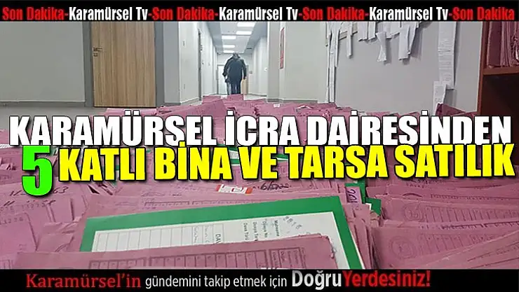 5 KATLI BİNA VE TARLA İCRADAN SATILIK
