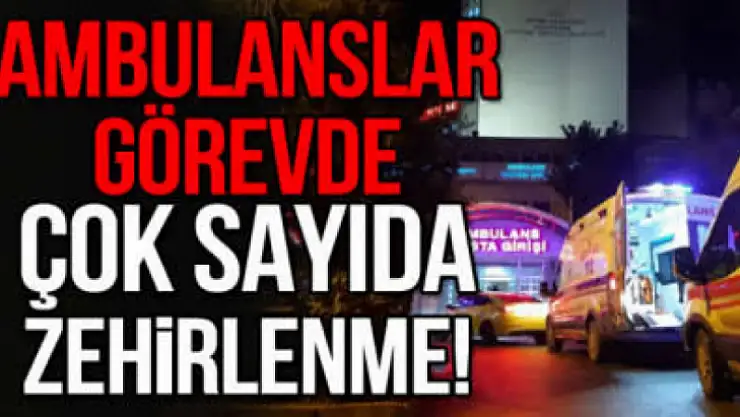 Altınova tersaneler bölgesinde çok sayıda kişi zehirlendi
