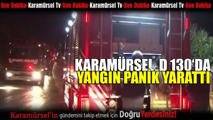 D130 Karayolu Kenarında Çıkan Yangın Paniğe Neden Oldu