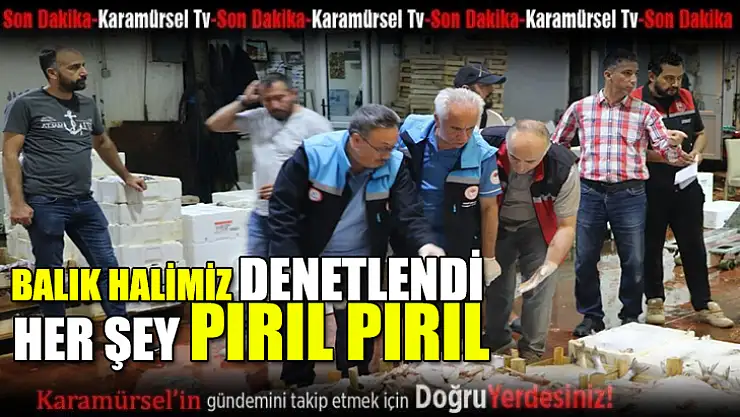 Ereğli Balık Halinde Su Ürünleri Denetimi Gerçekleştirildi