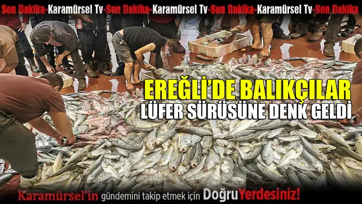 Ereğli'de balıkçılar lüfer sürüsüne denk geldi