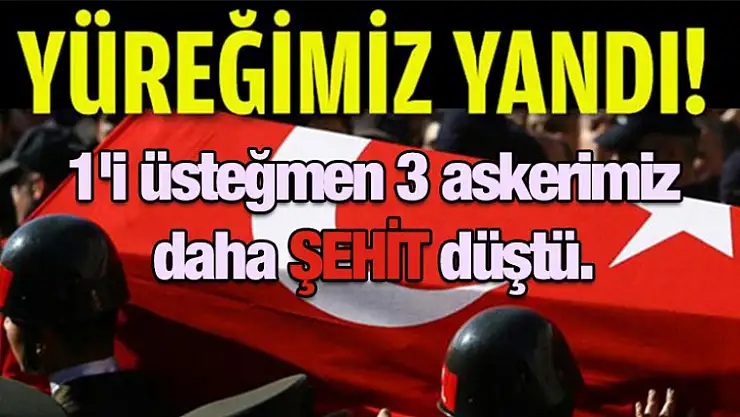 Mardin'de Hain Saldırı 3 ŞEHİT !