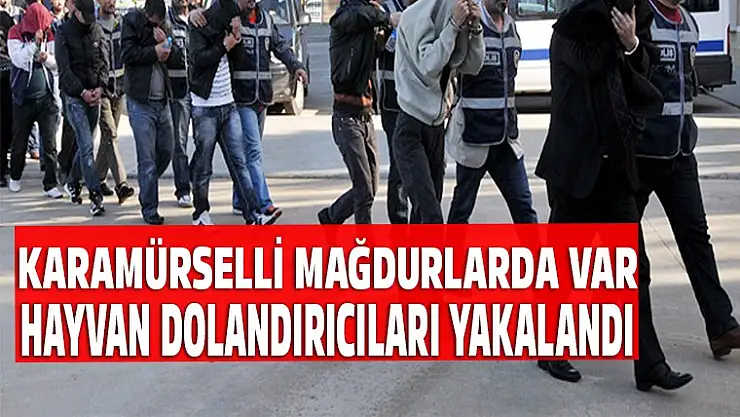 Hayvan dolandırıcıları yakalandı