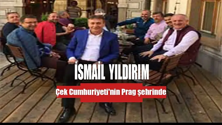 İsmail Yıldırım İncelemede