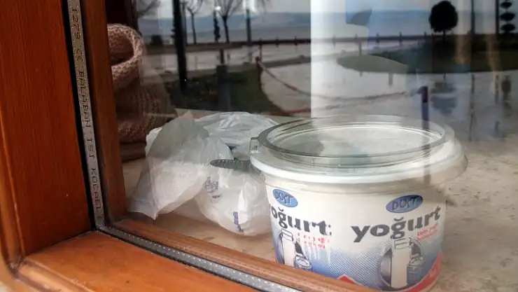 Müzede Yoğurt'ta Sergileniyor!