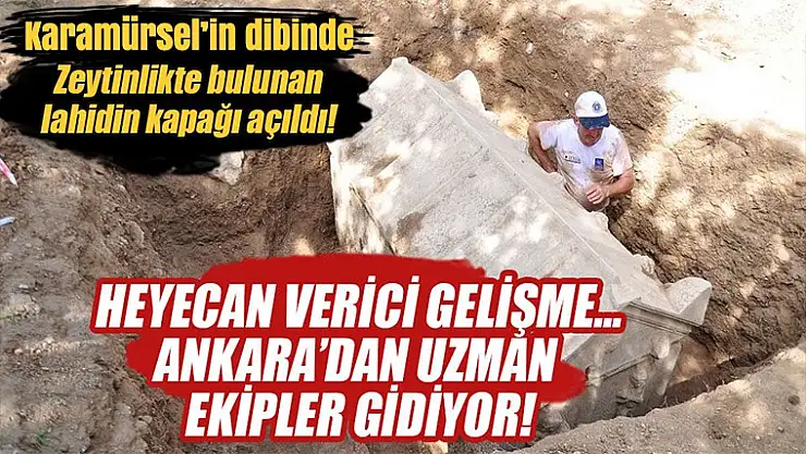 Zeytinlikte define bulundu
