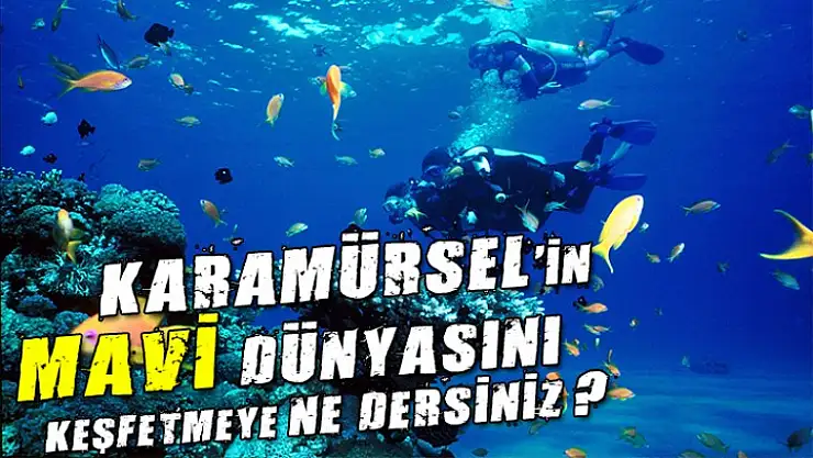 Karamürsel'in mavi dünyasını keşfetmeye ne dersiniz?