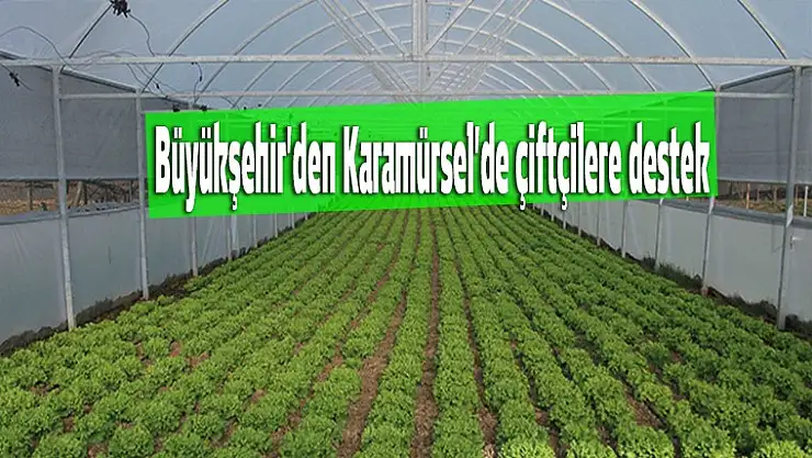 Büyükşehir'den Karamürsel'de çiftçiye destek