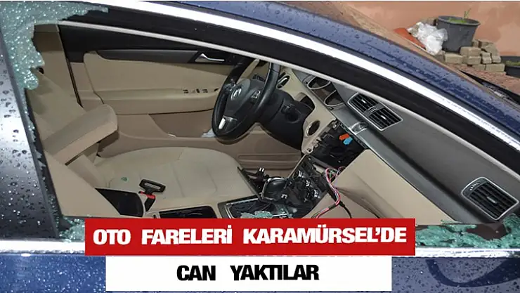 Karamürsel'de oto fareleri can yaktılar