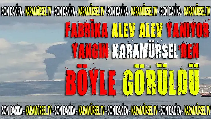 Fabrika yangını Karamürsel'i bile korkuttu