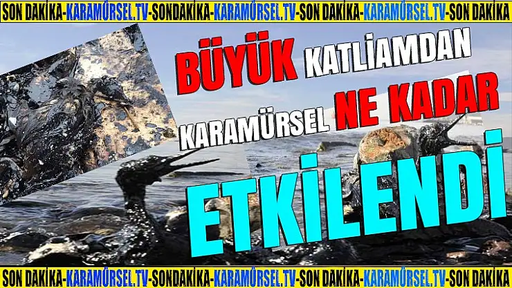 Katliam sonrası analiz sonuçları neden açıklanmıyor?