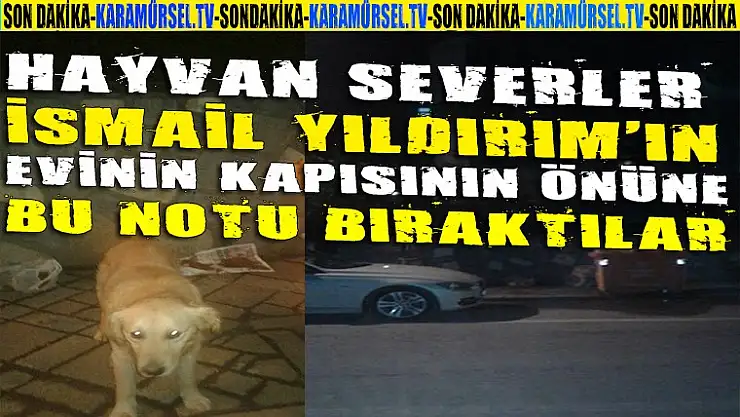Hayvan severler İsmail Yıldırım'a seslendi