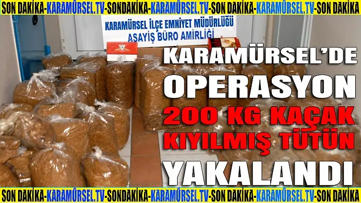 Karamürsel'de operasyon