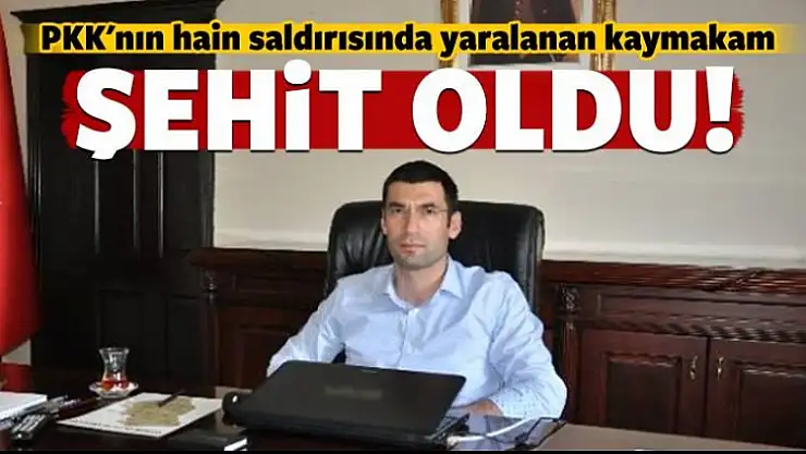 Derik kaymakamı şehit oldu!