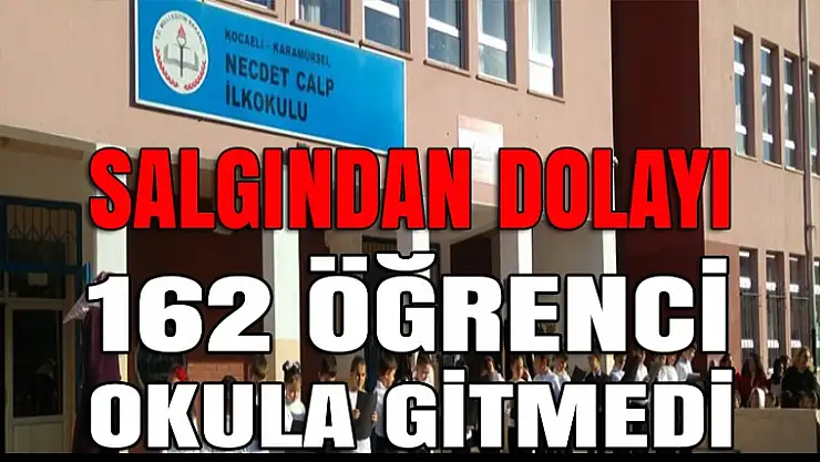 Karamürsel'de salgın paniği