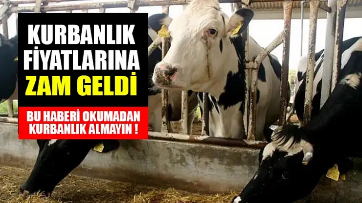 Kurbanlıklara Yüzde 30 Zam Geldi, Bu Haberimizi Okuyun !