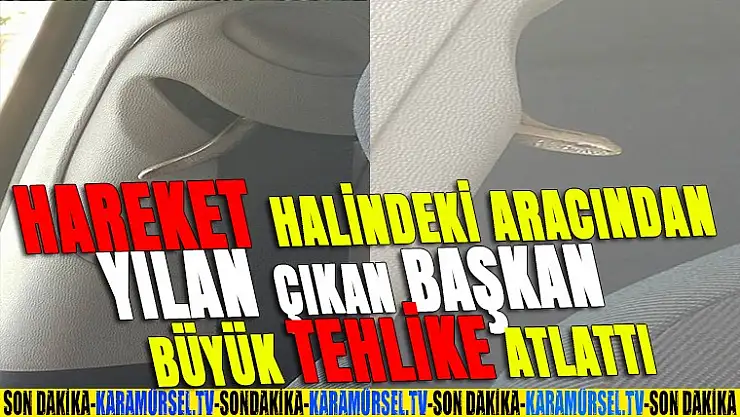 Aracından yılan çıkan başkan büyük tehlike atlattı