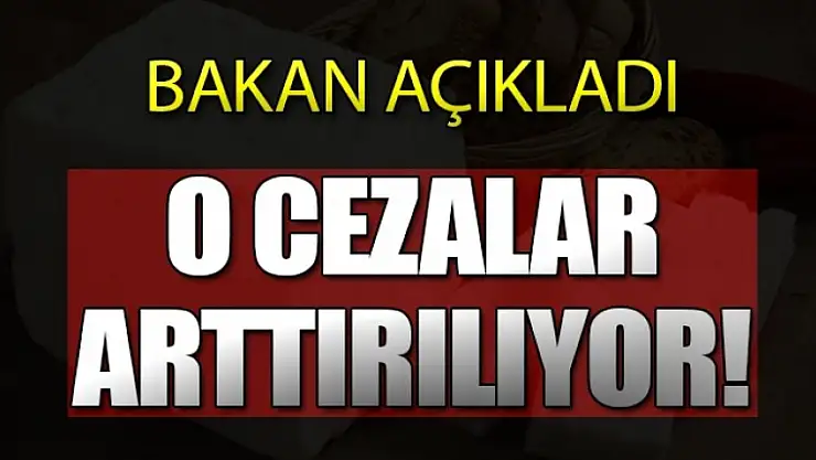 Bakan açıkladı: Cezalar arttırılıyor!