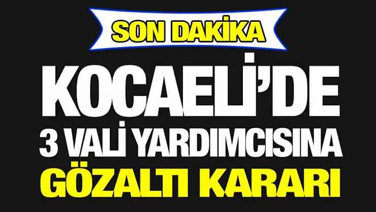 3 Vali Yardımcısına Gözaltı Kararı
