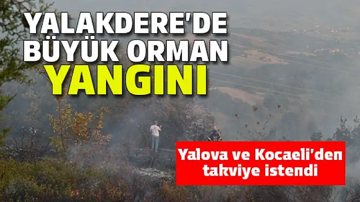 Yalakdere'de büyük orman yangını !