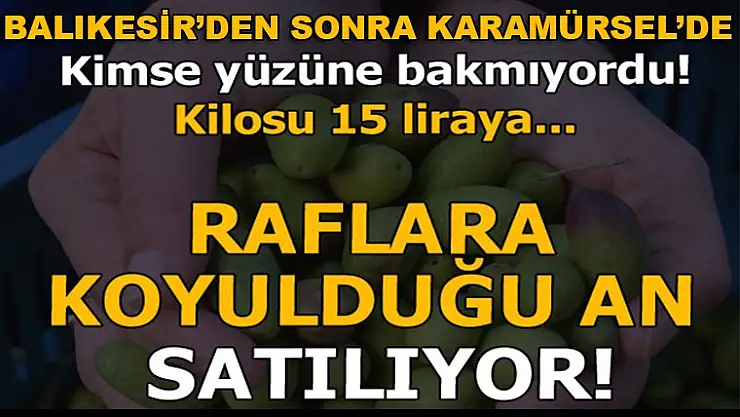 Karamürsel'de çiftçiye piyango vurdu