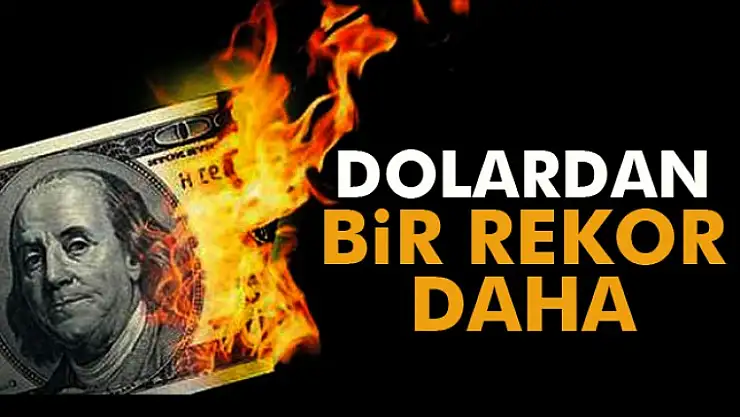 Dolardan tarihi zirve!