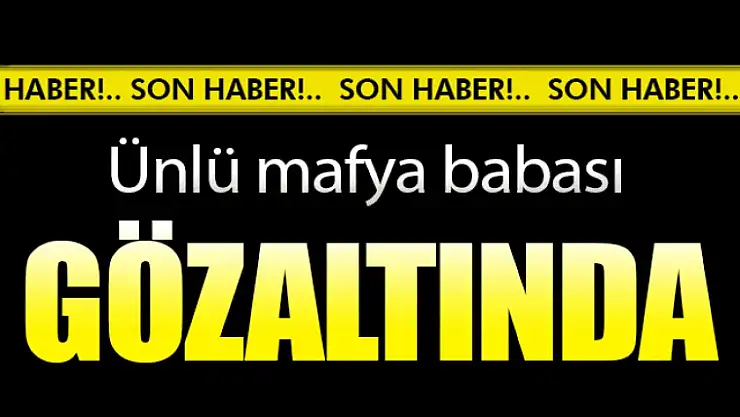 Beykoz'da Bir Çiftliğe Operasyon - Bomba İmha Ekibi Çağırıldı