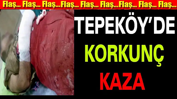 Karamürsel Tepeköy'de Korkunç Kaza