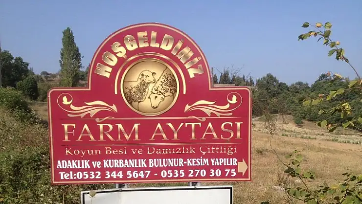 Karamürsel'de kurbanlıkta tek adres