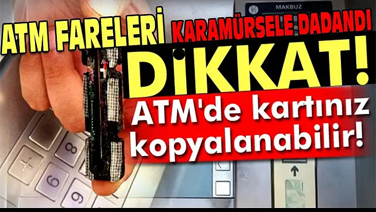 Karamürsel'de ATM Fareleri Ortaya Çıktı