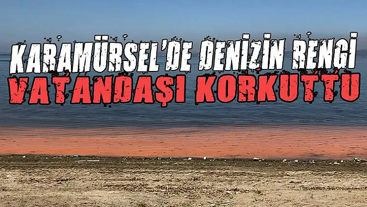 Karamürsel'de deniz  yine kahverengi