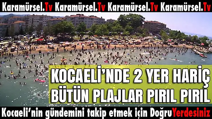 Kocaeli'de tüm plajlarda deniz temiz, o iki plaj hariç!