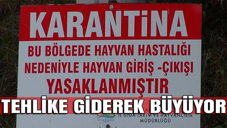 Şarbon paniği git gide büyüyor! 3 Köy karantinaya alındı