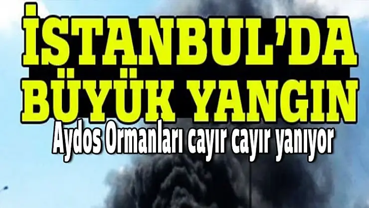 Aydos Ormanları cayır cayır yanıyor