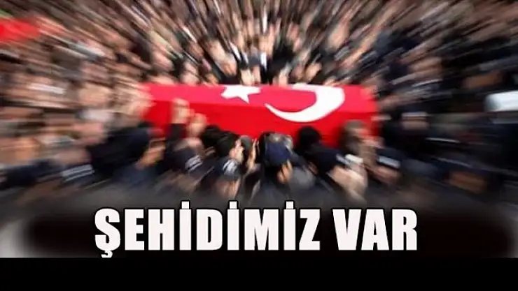 Sakarya Hendek'ten şehidimiz var!
