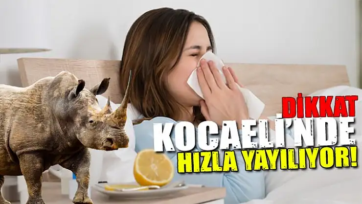 Kocaeli genelinde virüs hızla yayılıyor!