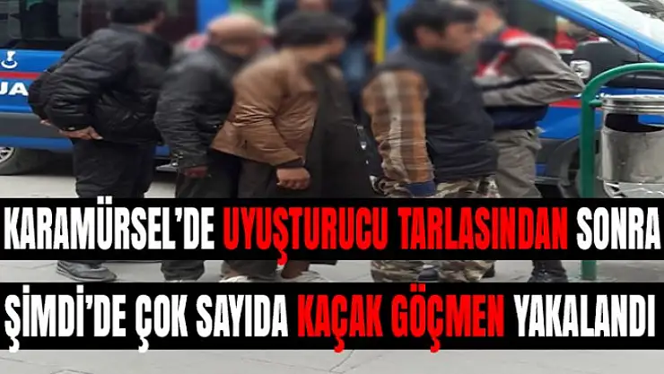 Karamürsel'de 6 kaçak göçmen yakalandı