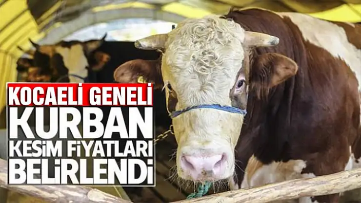 Kocaeli geneli kurban kesim fiyatları açıklandı