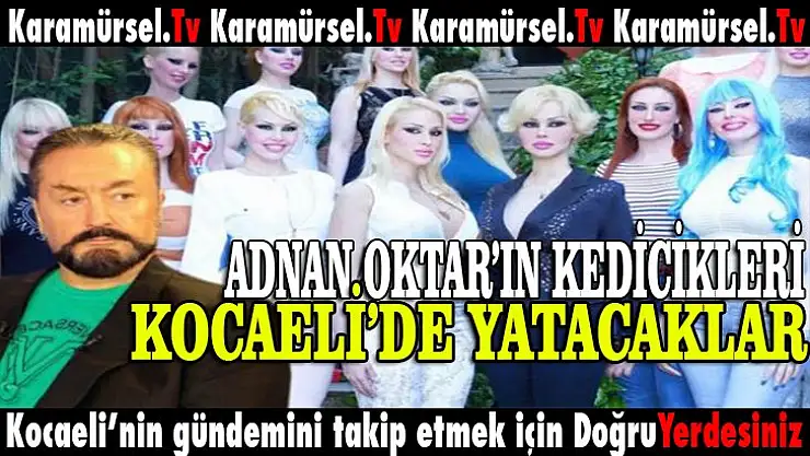 Adnan Oktar'ın kedicikleri, Kocaeli'de yatacak