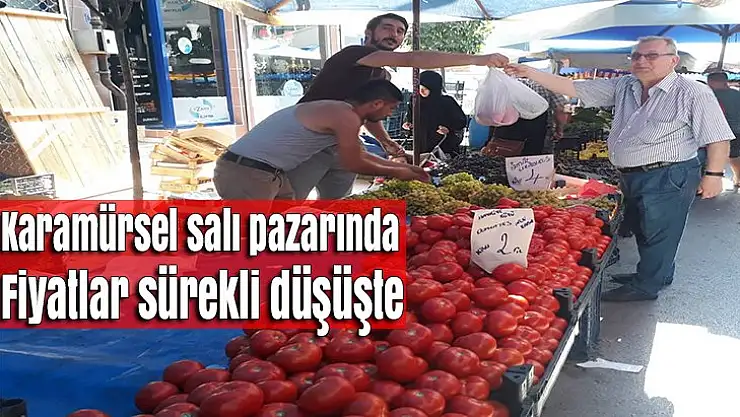 Karamürsel salı pazarında fiyatlar sürekli düşüşte