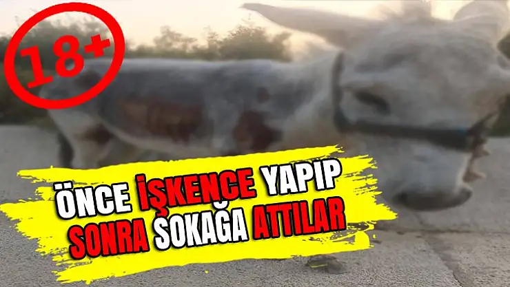 KARAMÜRSEL'DE İNSANLIĞA SIĞMAYAN VAHŞET