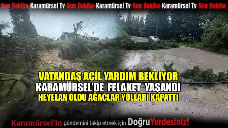 Karamürsel'de ağaçlar devrildi yollar kapandı