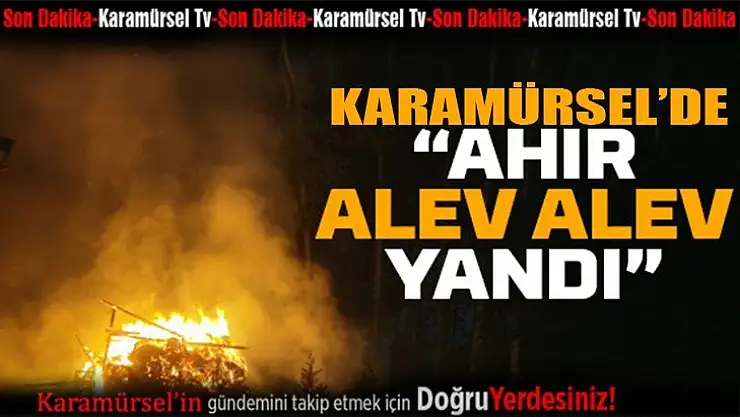 Karamürsel'de ahır alev, alev yandı