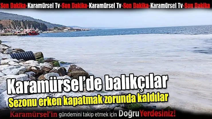 Karamürsel'de balık sezonu erken kapandı!