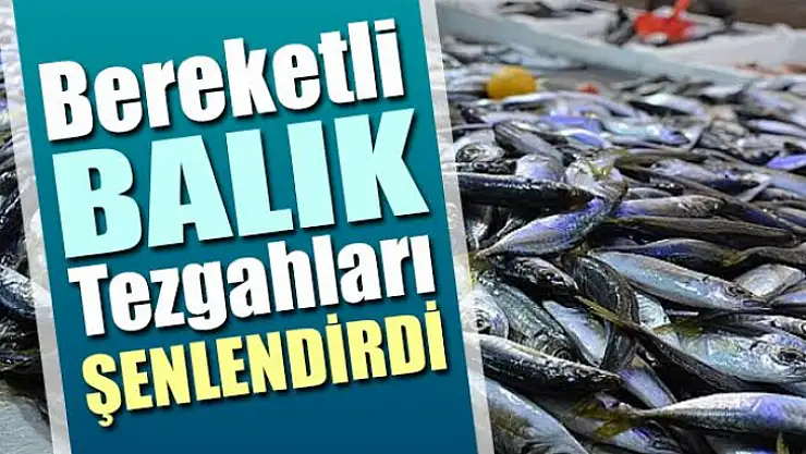 Karamürsel'de balık tezgahları şenlendi