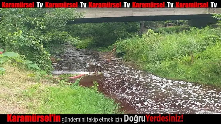  Karamürsel'de derelerden yine kan aktı