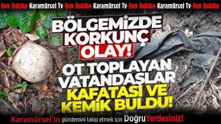 Karamürsel'de insan kafatası ve kemikleri bulundu