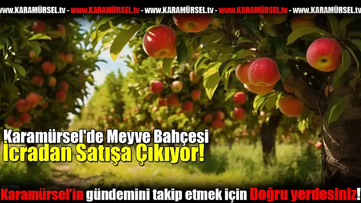 Karamürsel'de Meyve Bahçesi Satışa Çıkıyor!