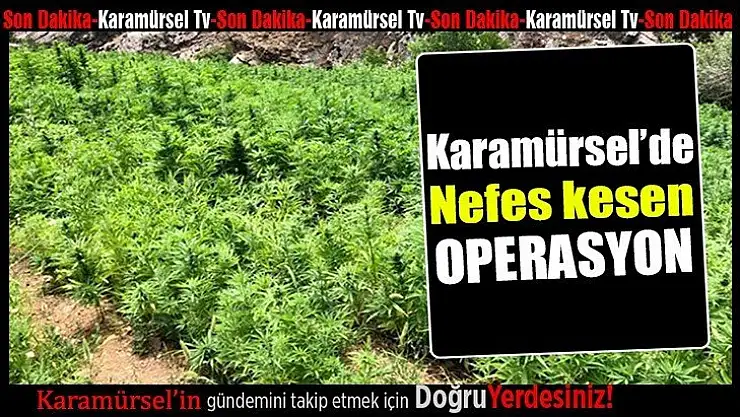 Karamürsel'de nefes kesen operasyon!