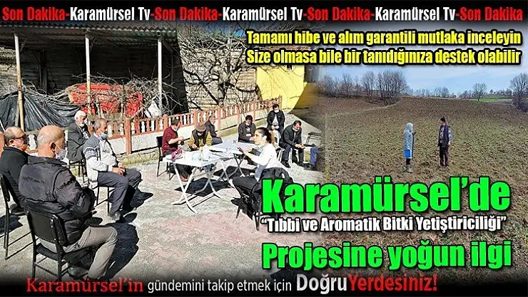 Karamürsel'de 'Tıbbi ve Aromatik Bitki Yetiştiriciliği' projesine yoğun ilgi
